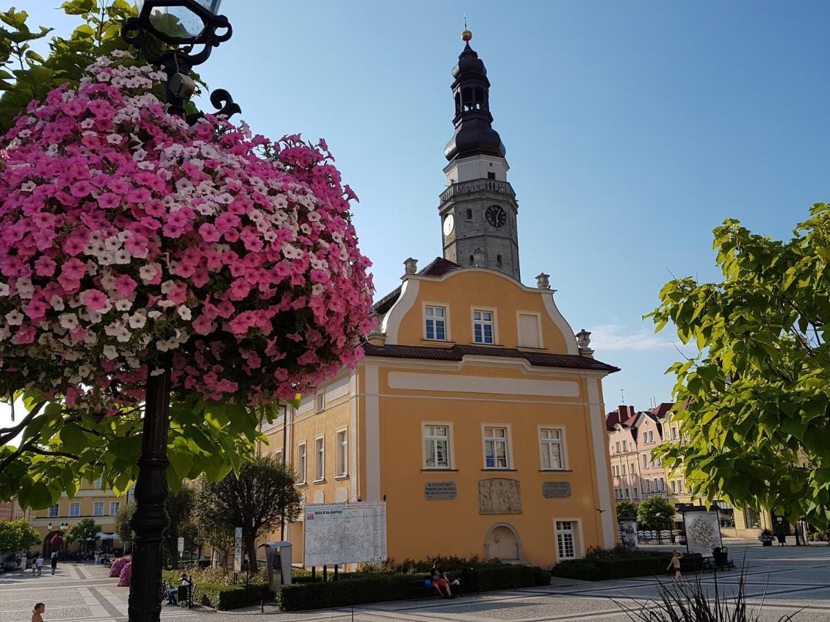 Apartament Przy Starowce - Hampton Boleslawiec  Exteriér fotografie