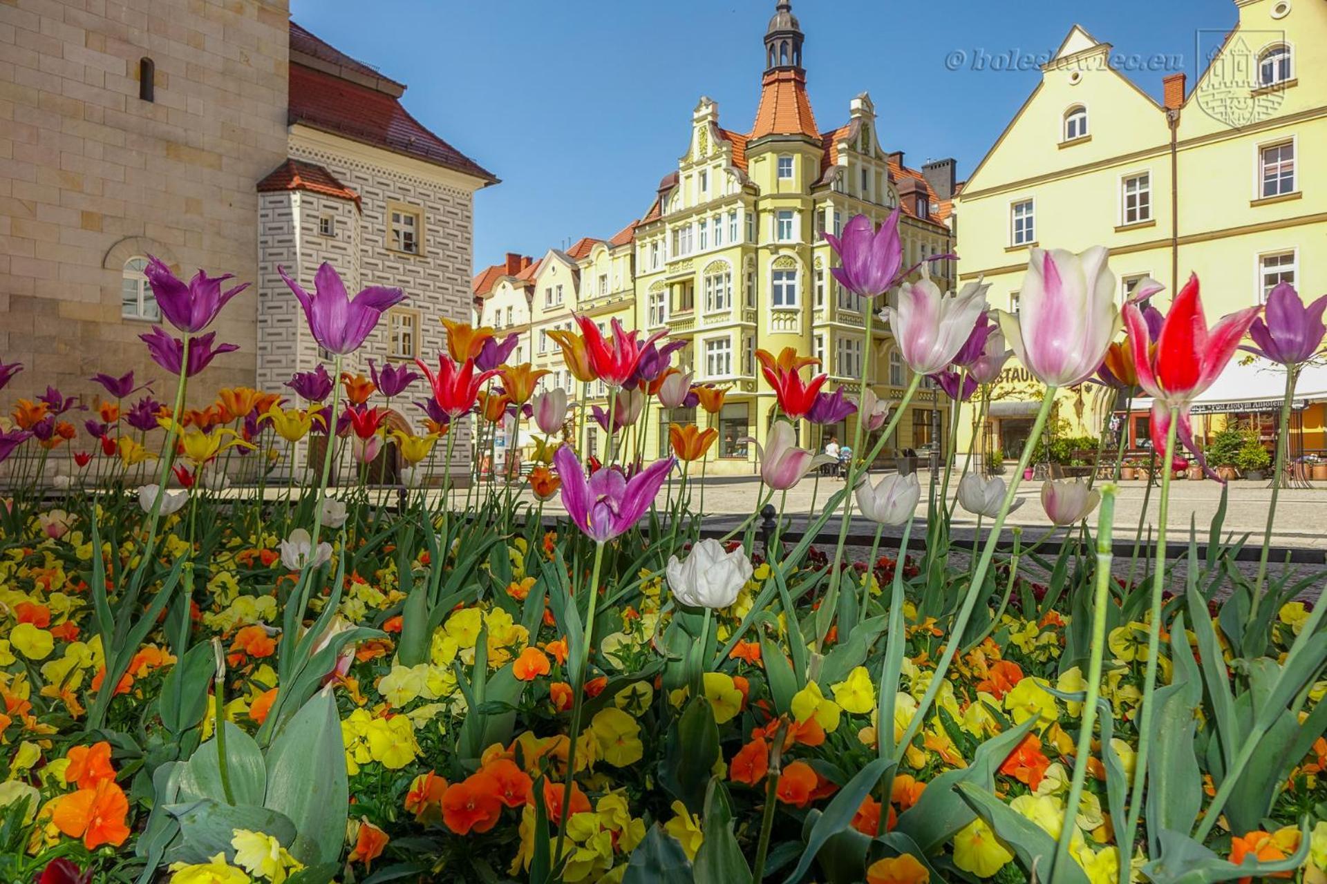 Apartament Przy Starowce - Hampton Boleslawiec  Exteriér fotografie